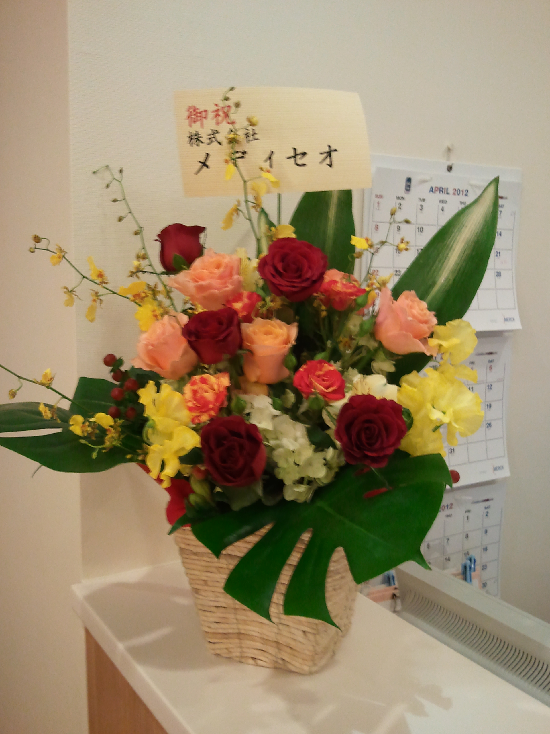 2012-04-02 17.09.23.jpg