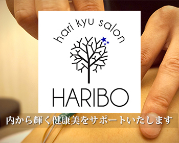 hari kyu salon HARIBO ブログ