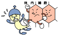 皮膚病にかかるのを防ぐためには、どのように生活していけばいいのですか?