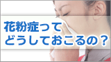 花粉症ってどうしておこるの?
